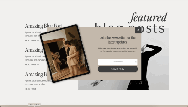 Raleigh Template Home popup